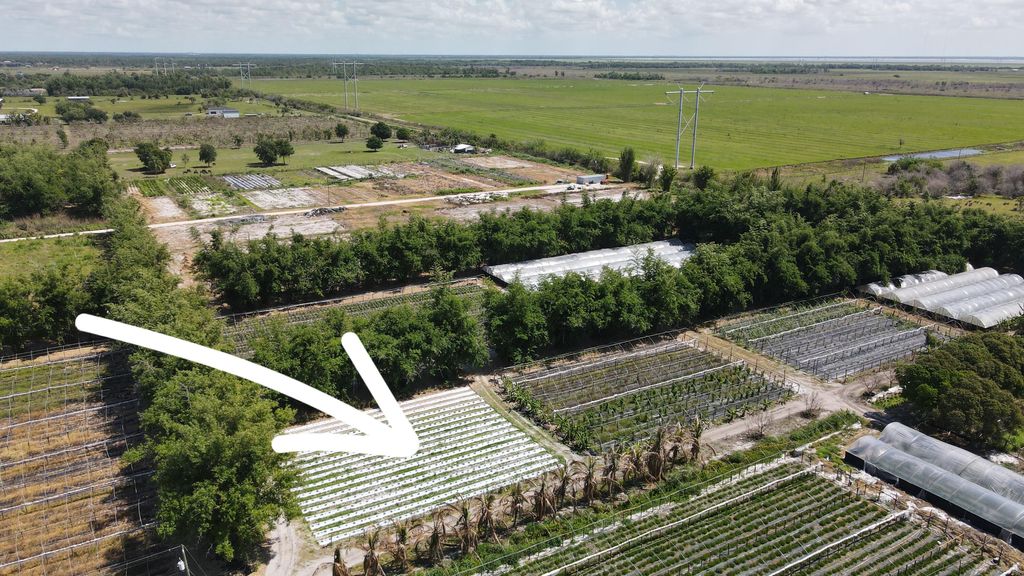 Photo of 11931 SW Fox Brown Road, Indiantown, FL 34956 (MLS # B26020505)