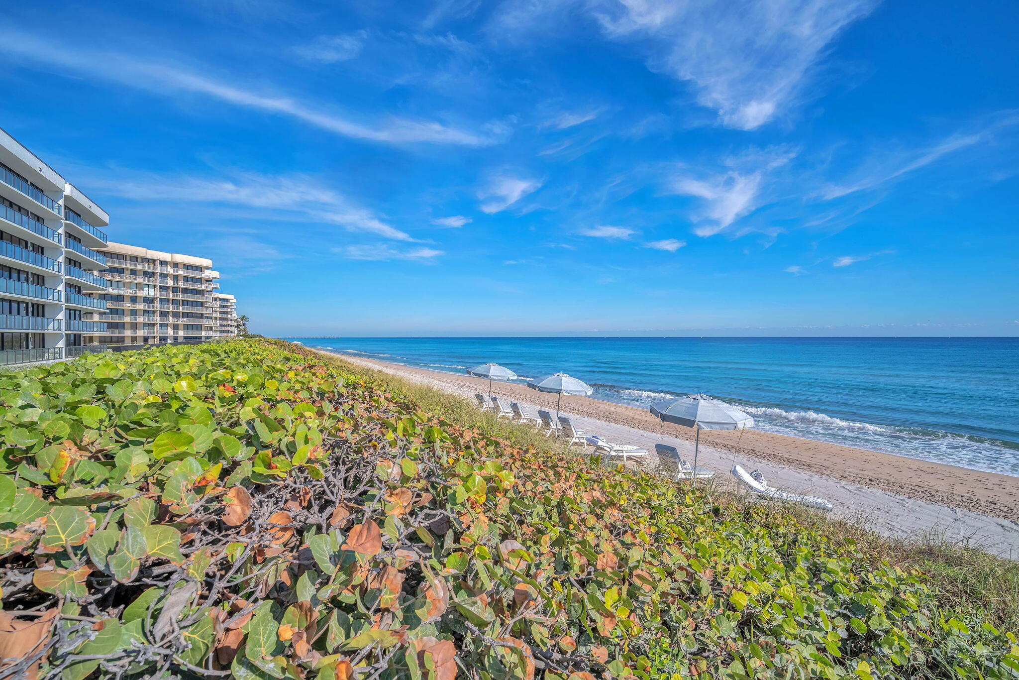 HALCYON OF PALM BEACH - Residential