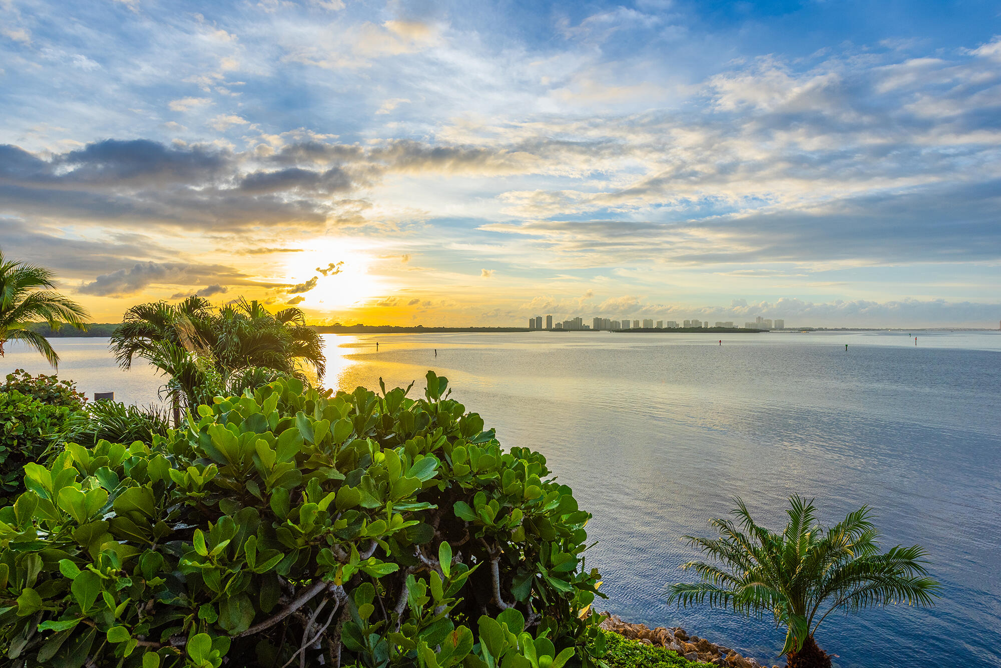 OLD PORT COVE LAKE POINT TOWER CONDO - Residential