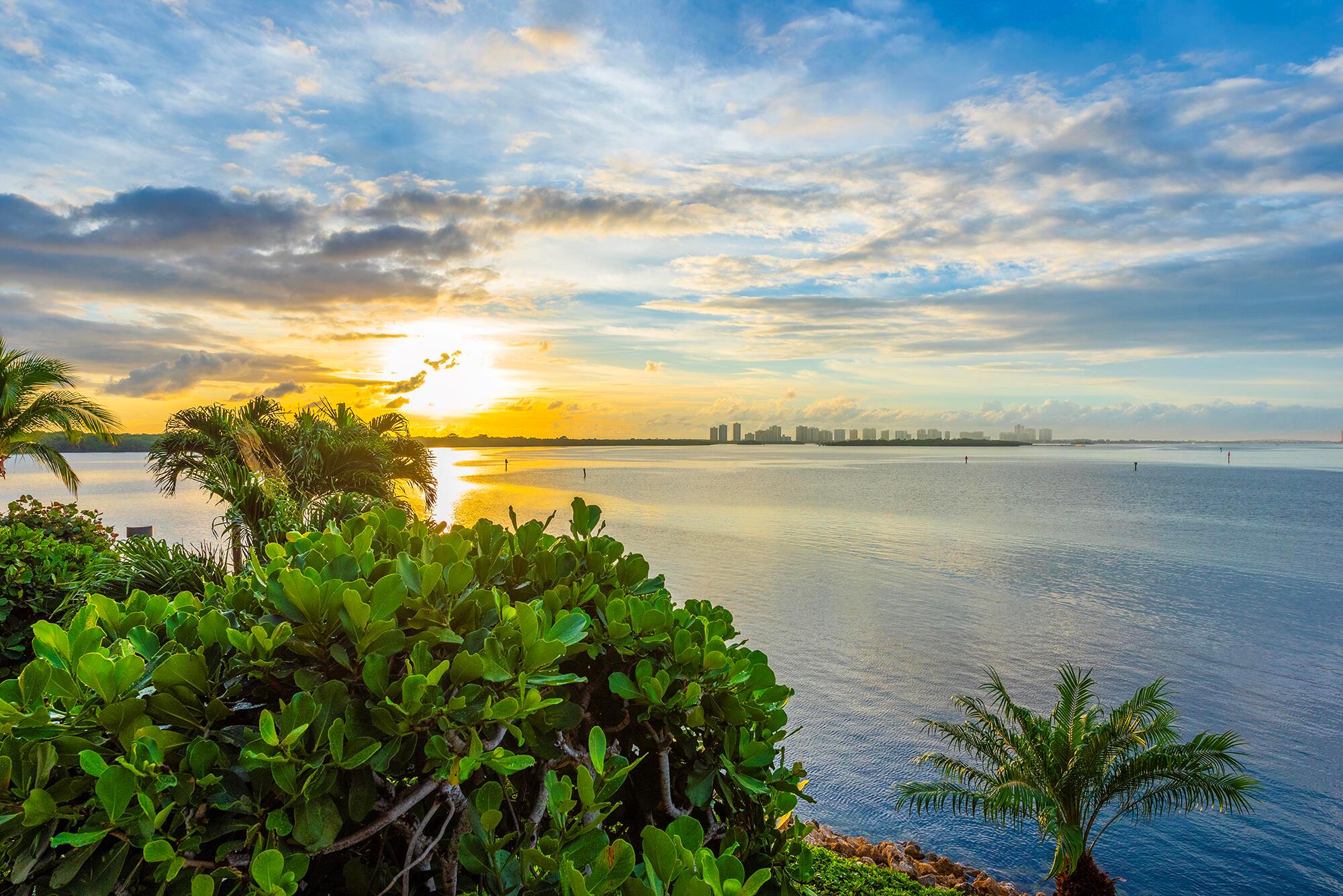 OLD PORT COVE LAKE POINT - Residential