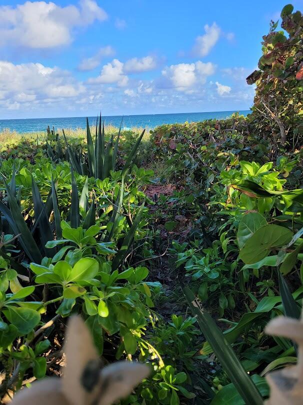 OCEAN VUE - Residential