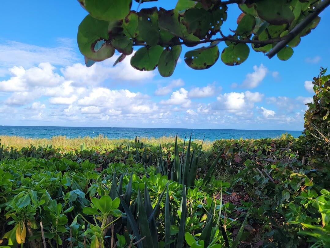 OCEAN VUE - Residential