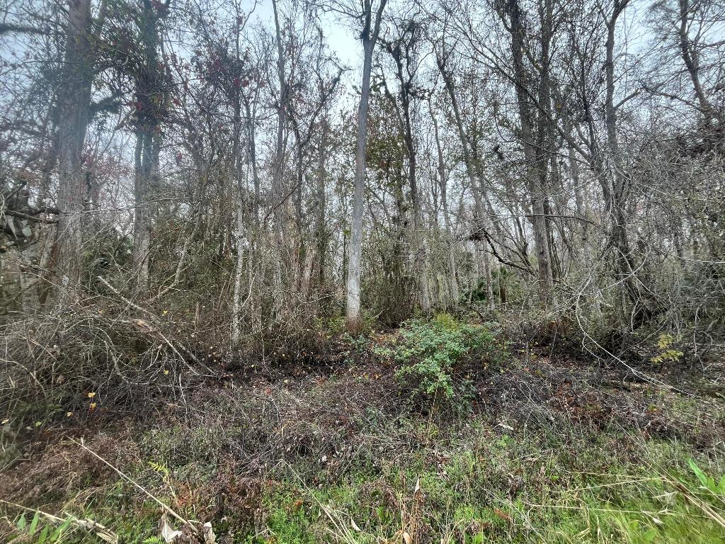 DAYTONA NORTH - Land