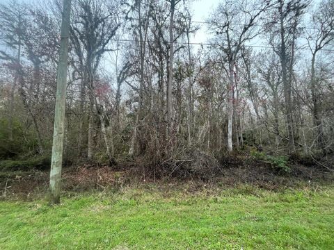 1946 Co Rd 305 Bunnell FL 32110