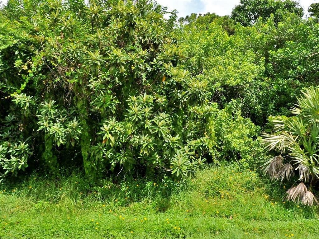 Photo of 707 SW Broadview Street, Port Saint Lucie, FL 34983 (MLS # R10705687)