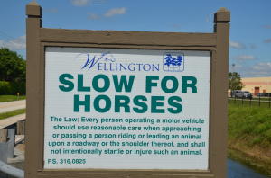 EMERALD FOREST OF WELLING - Residential