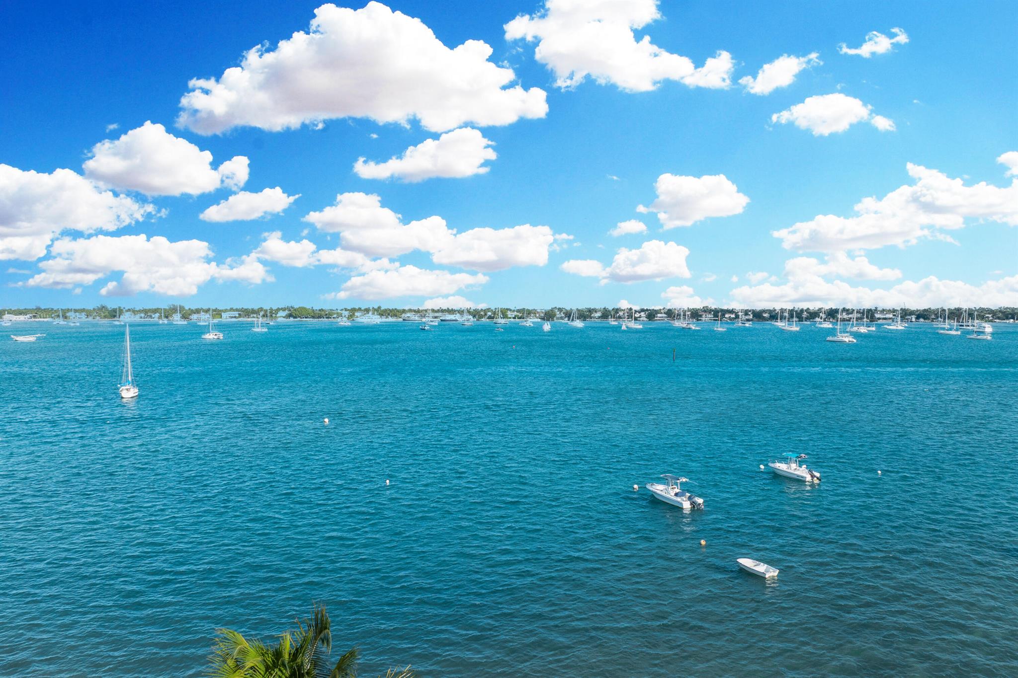 PALM BEACH HOUSE CONDO - Residential