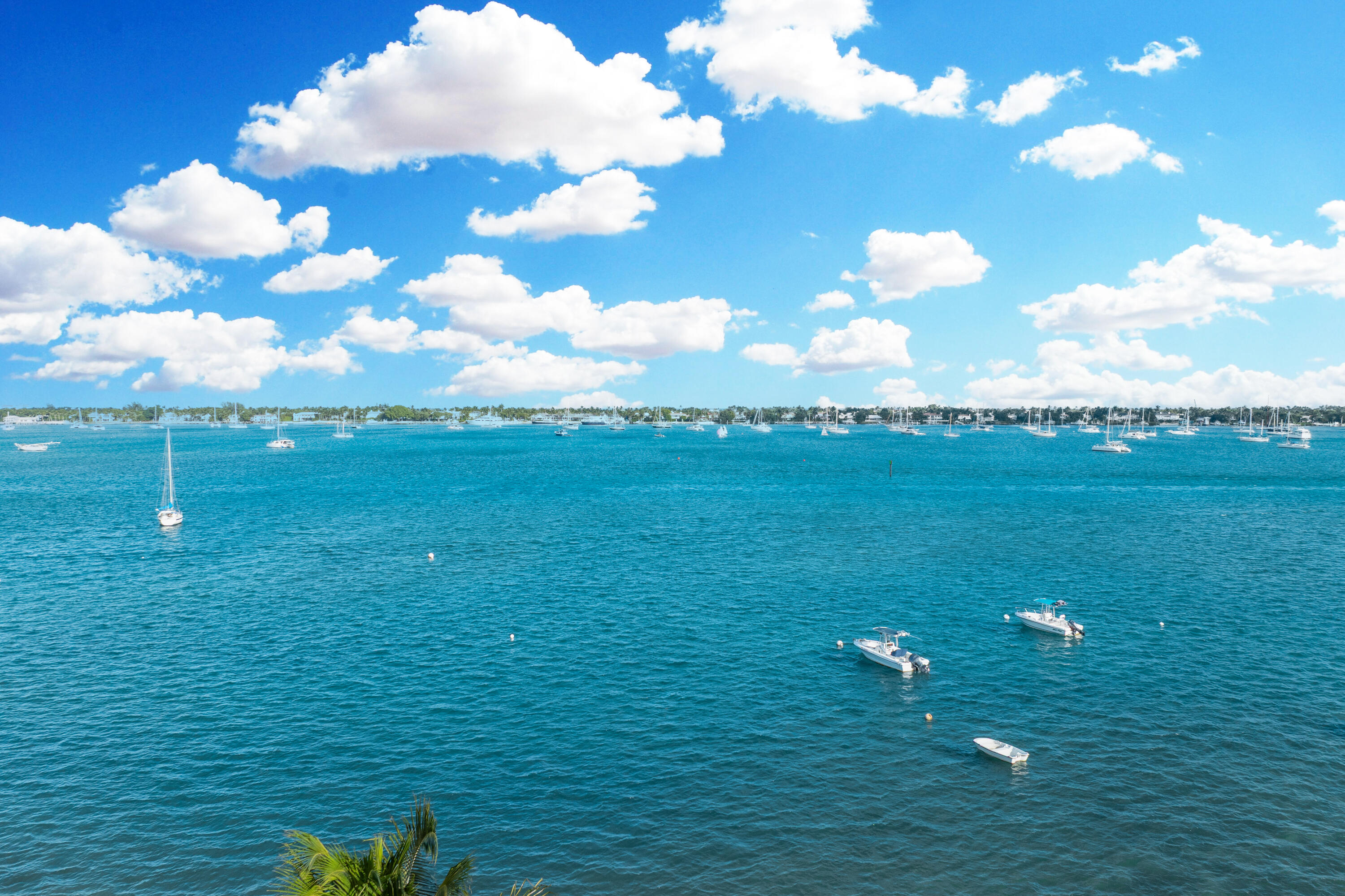 PALM BEACH HOUSE CONDO - Residential