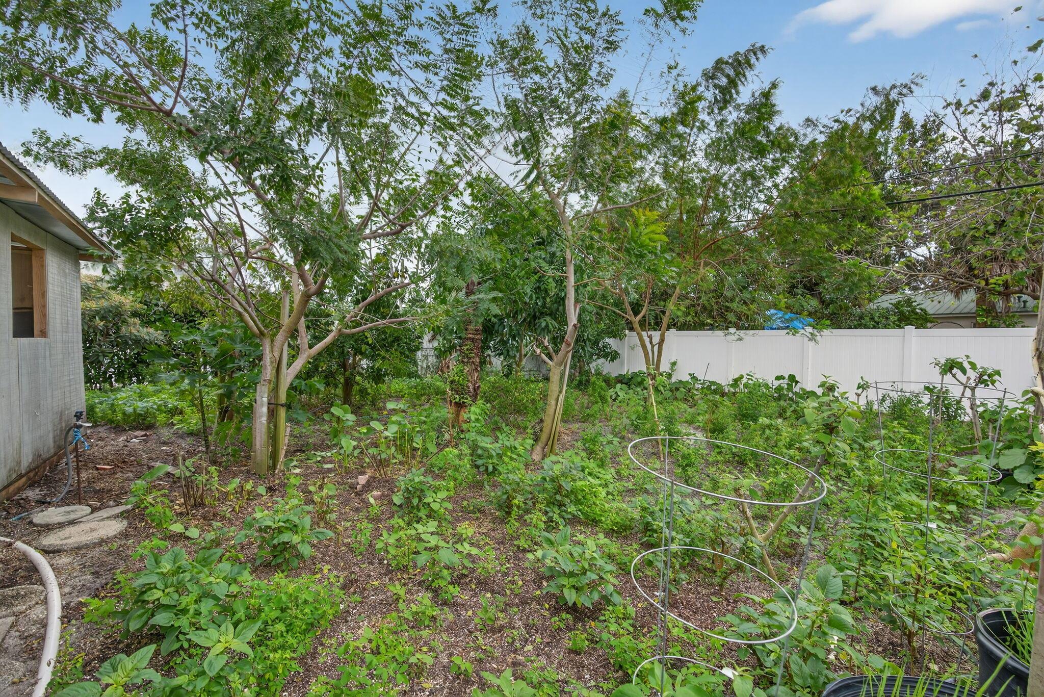 PINE GARDENS - Residential