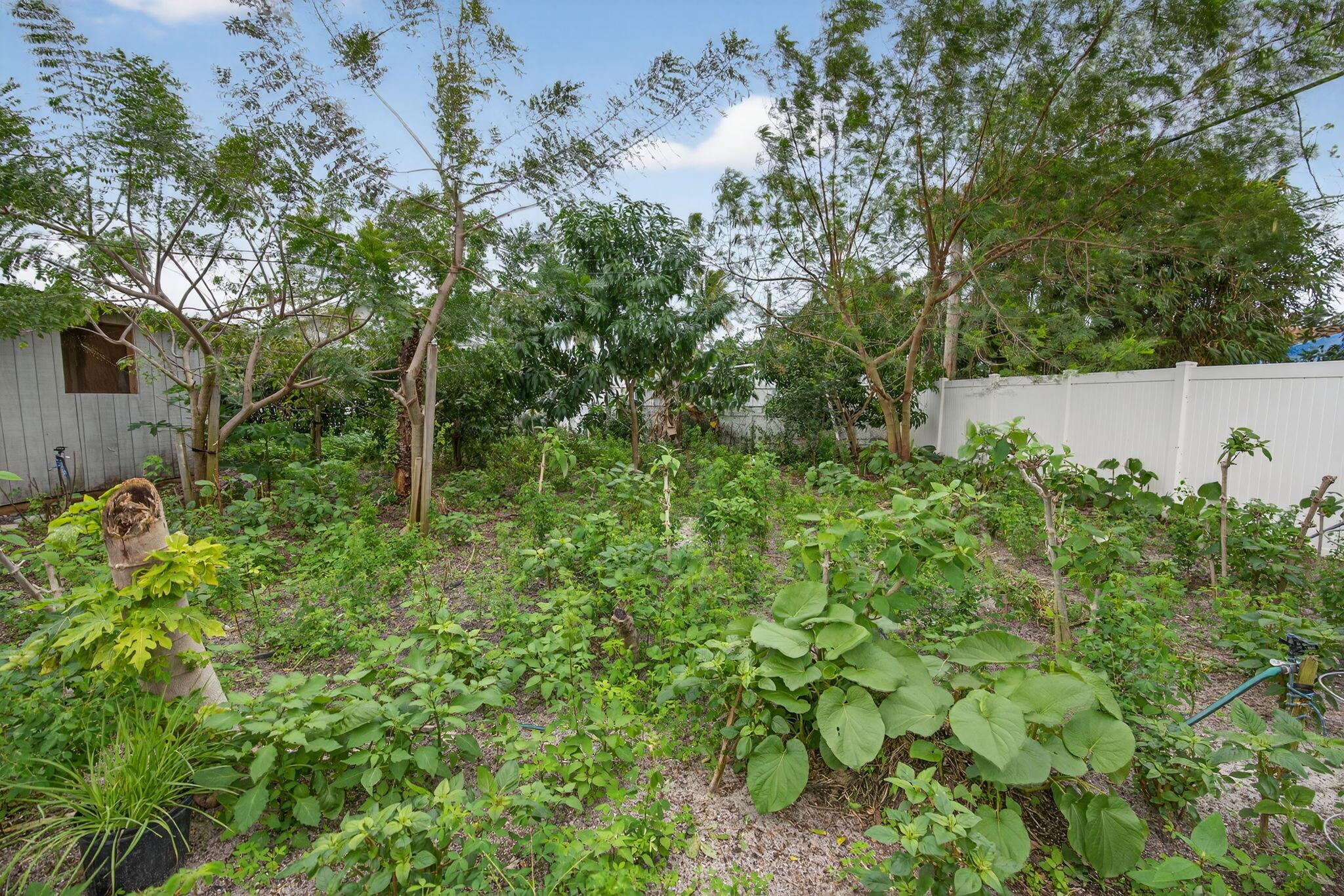 PINE GARDENS - Residential