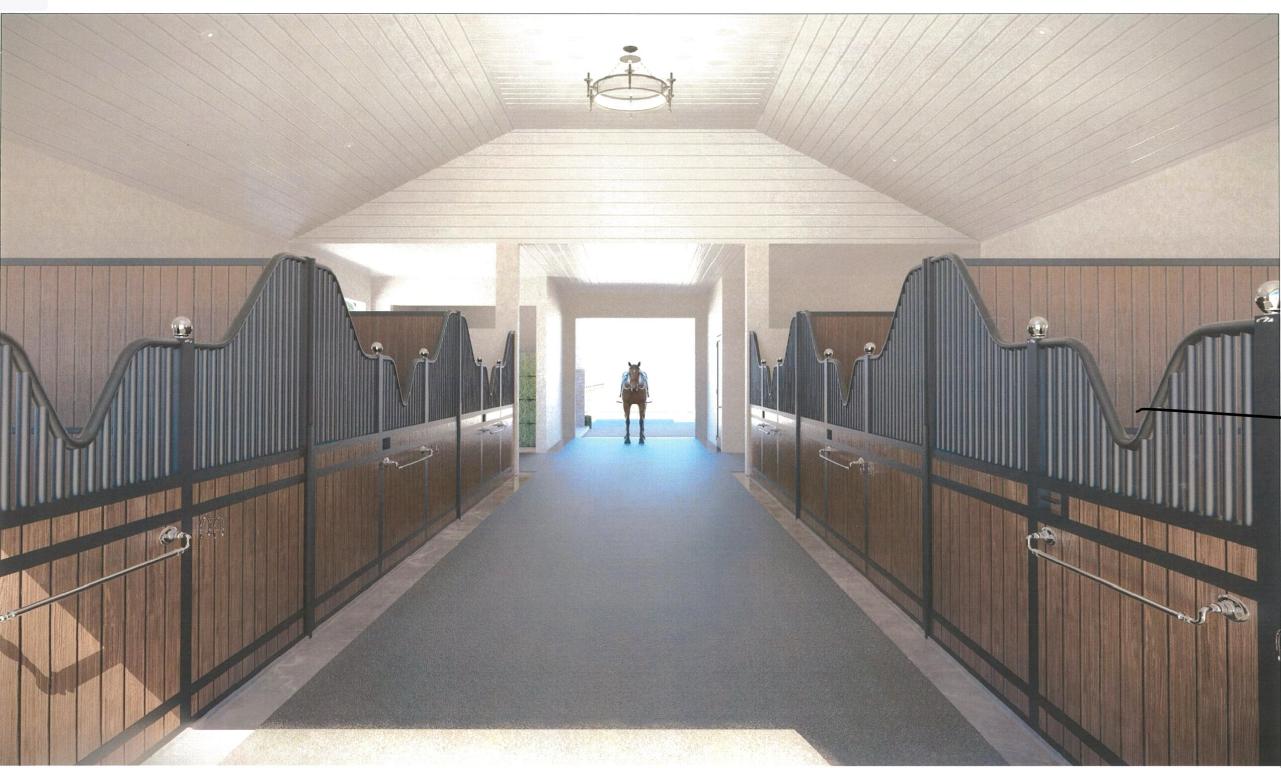 WINDING TRAILS - Land