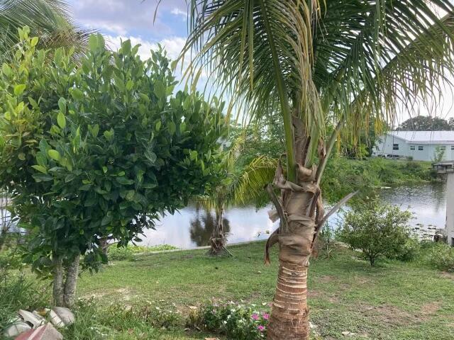 Treasure Island - Residential