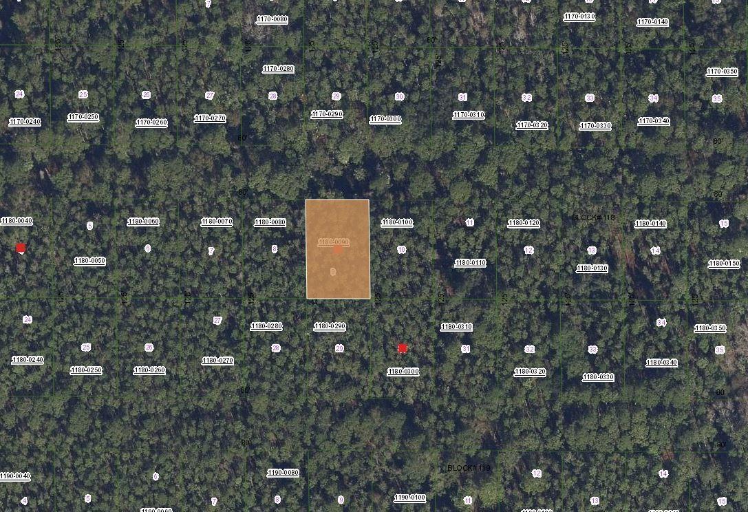 317 Tropical Drive