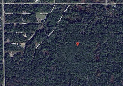 317 Tropical Drive Georgetown FL 32139