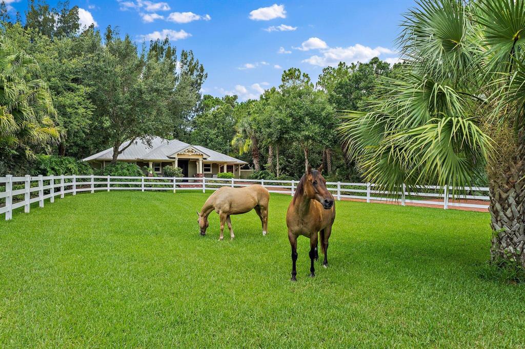 PALM CITY FARMS - Residential