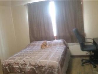 Indian Hammock - Land