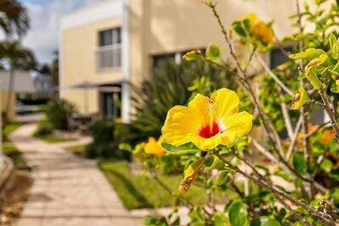 A home in Jensen Beach