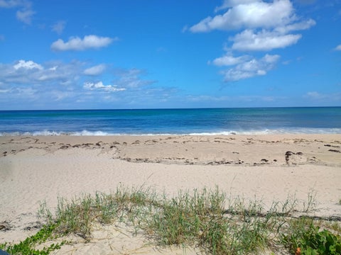 Tiny photo for 5505 N Ocean Boulevard #8-110, Ocean Ridge, FL 33435 (MLS # R11157297)