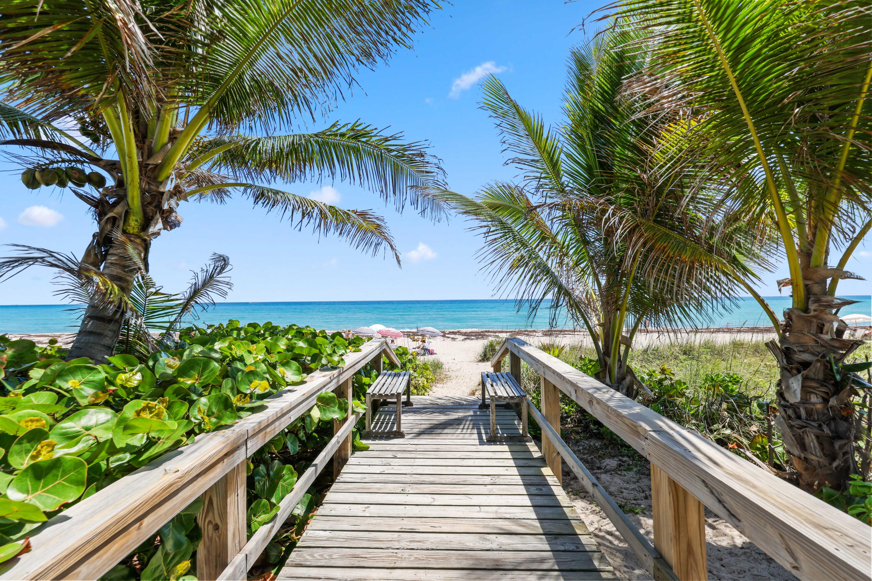 BELLO LIDO - Residential Lease