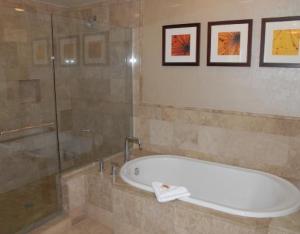 RESORT AT SINGER ISLAND H - Residential