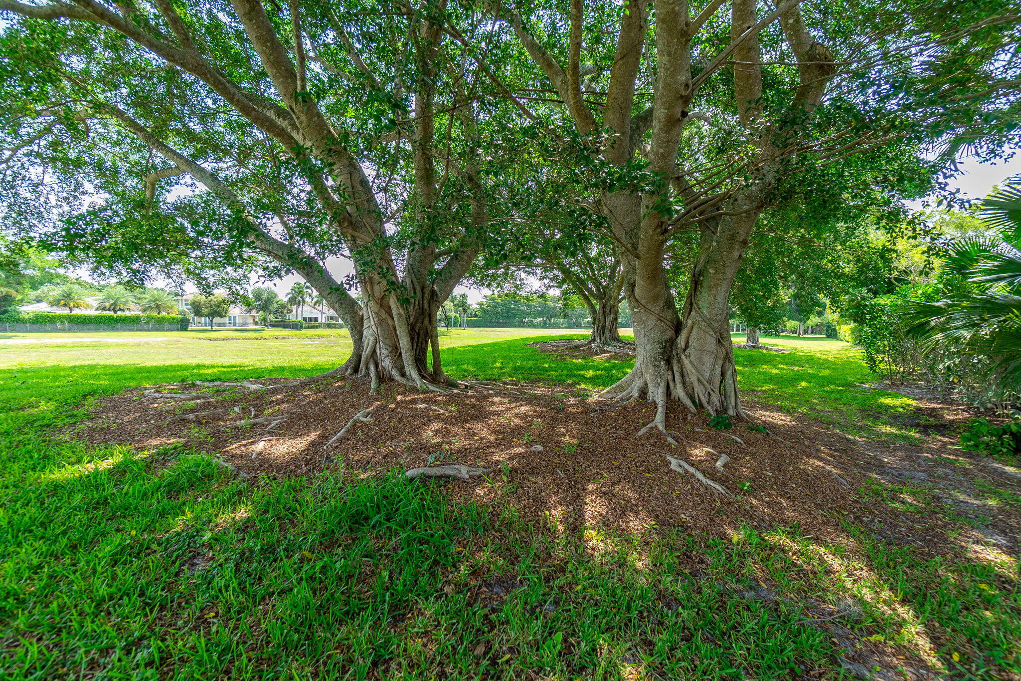 EAGLES LANDING OF P B POLO AND COUNTRY CLUB - Residential