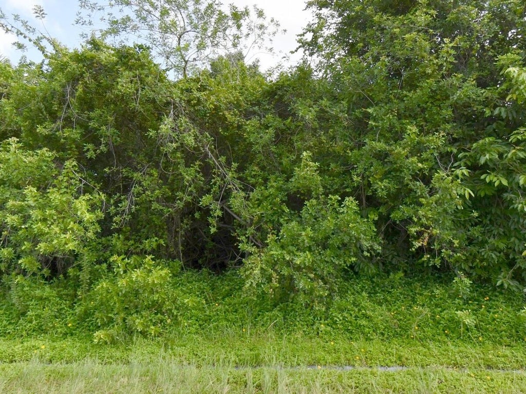Photo of 1081 SW Dartmouth Avenue SW, Port Saint Lucie, FL 34953 (MLS # B26045393)