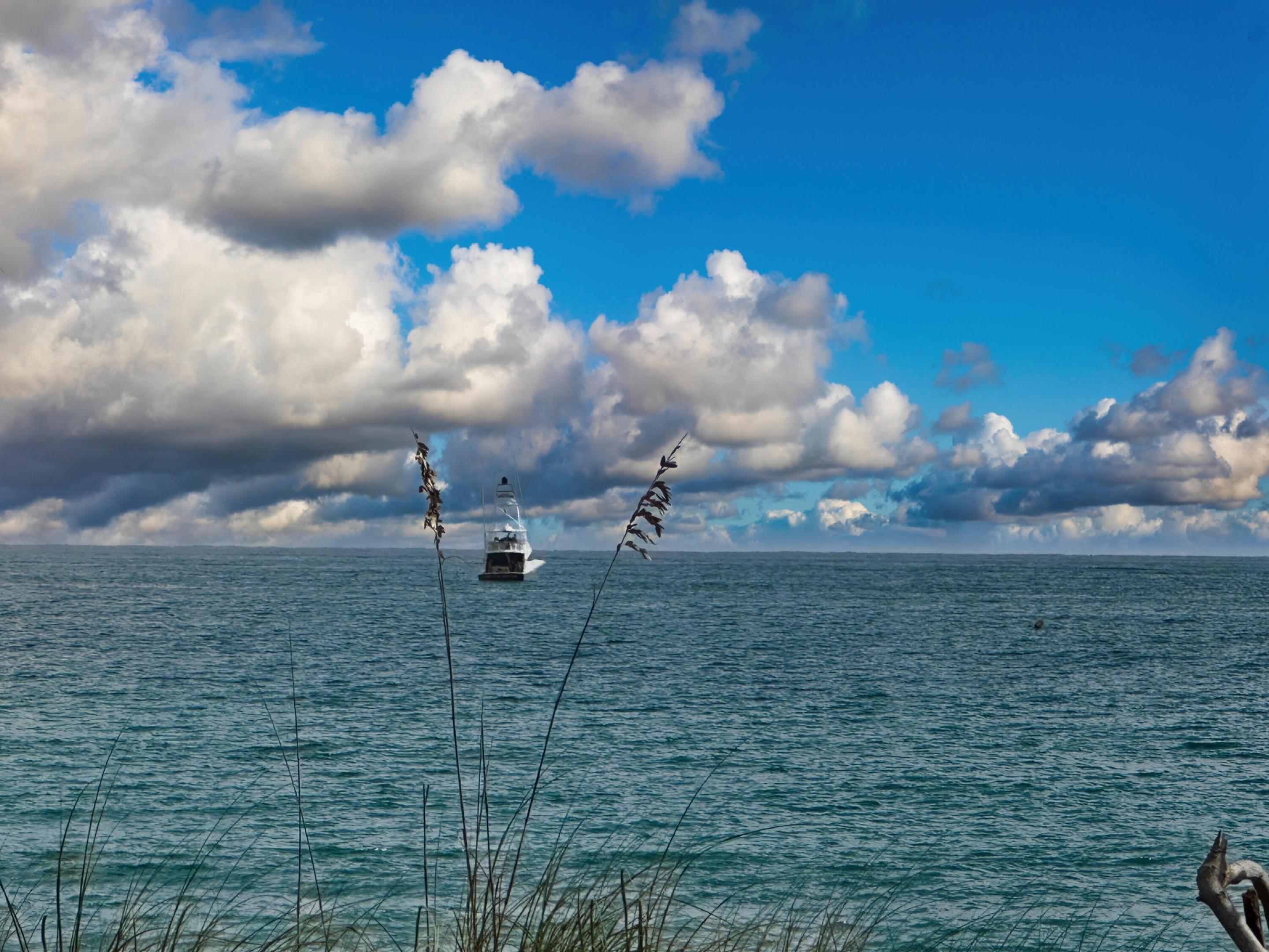 HOLLYWOOD CENTRAL BEACH - Residential