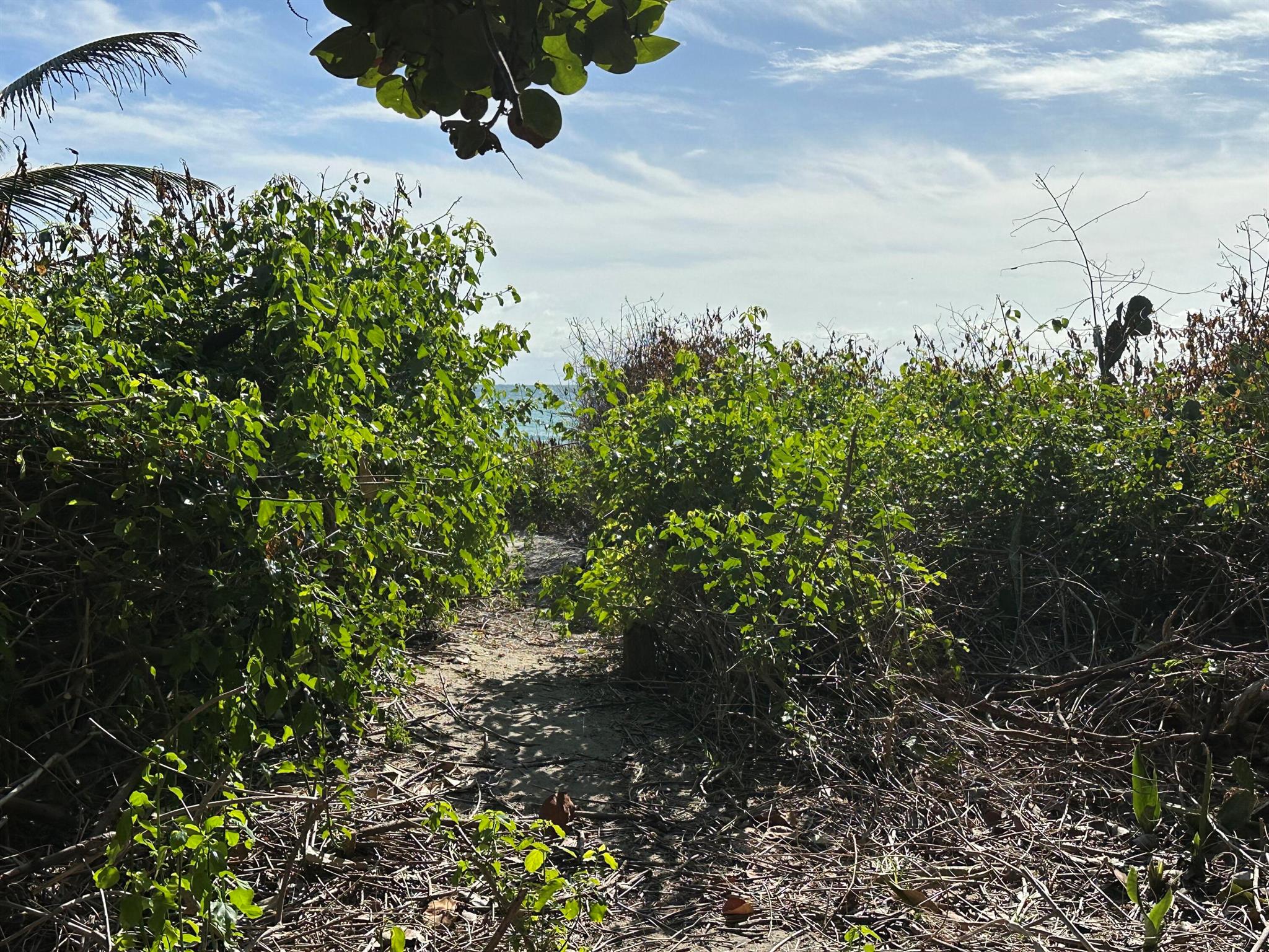 HOLLYWOOD CENTRAL BEACH - Residential