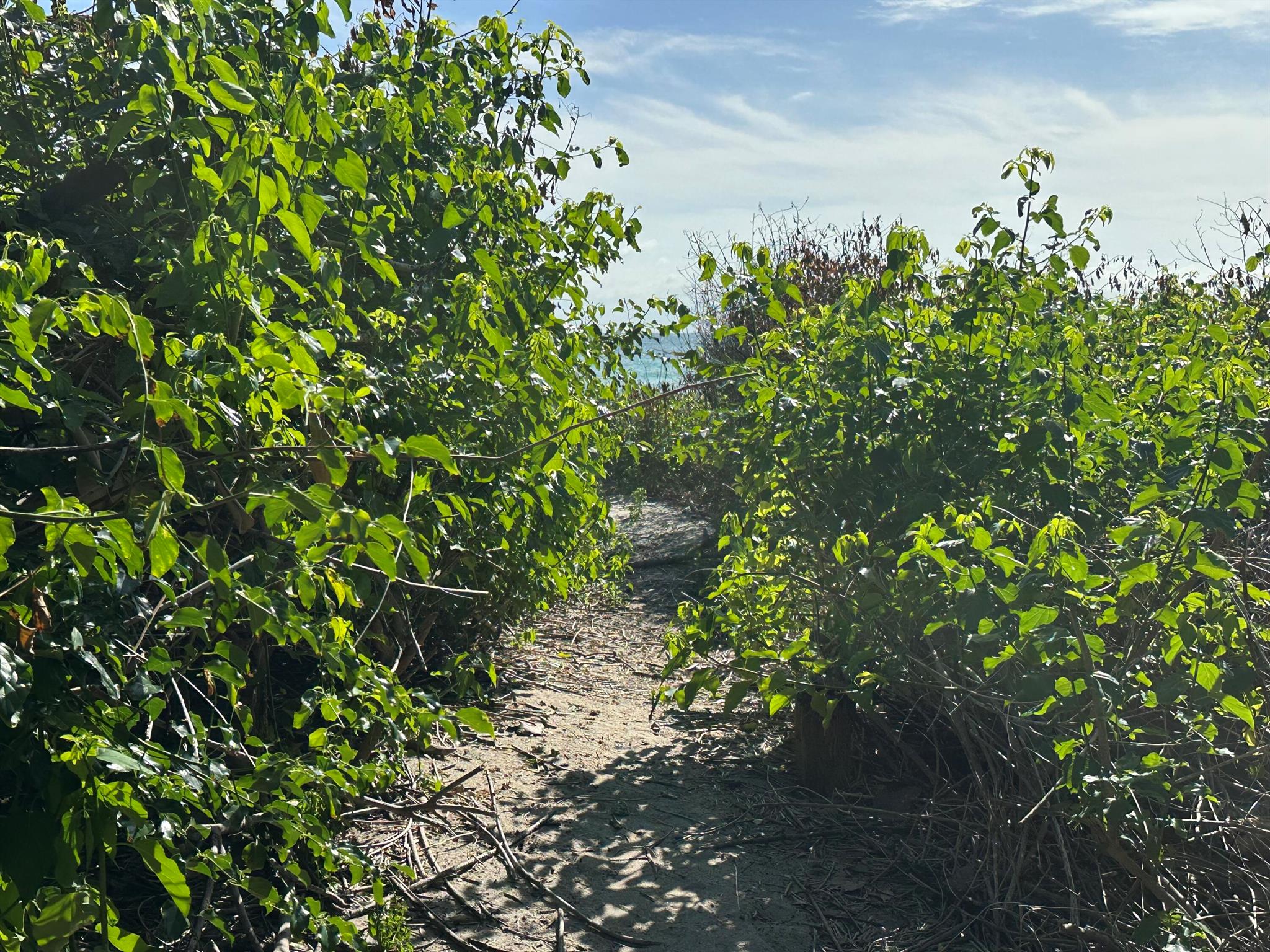 HOLLYWOOD CENTRAL BEACH - Residential