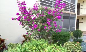 KINGS POINT - Residential