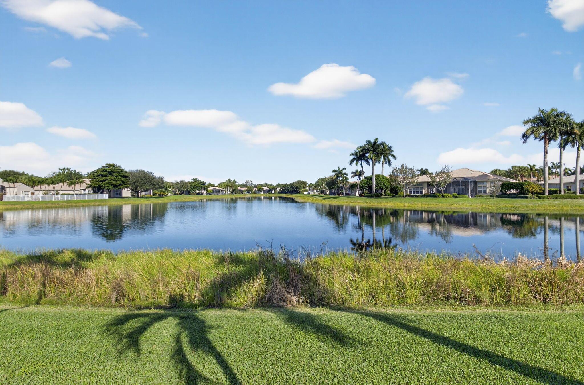 VALENCIA PALMS - Residential