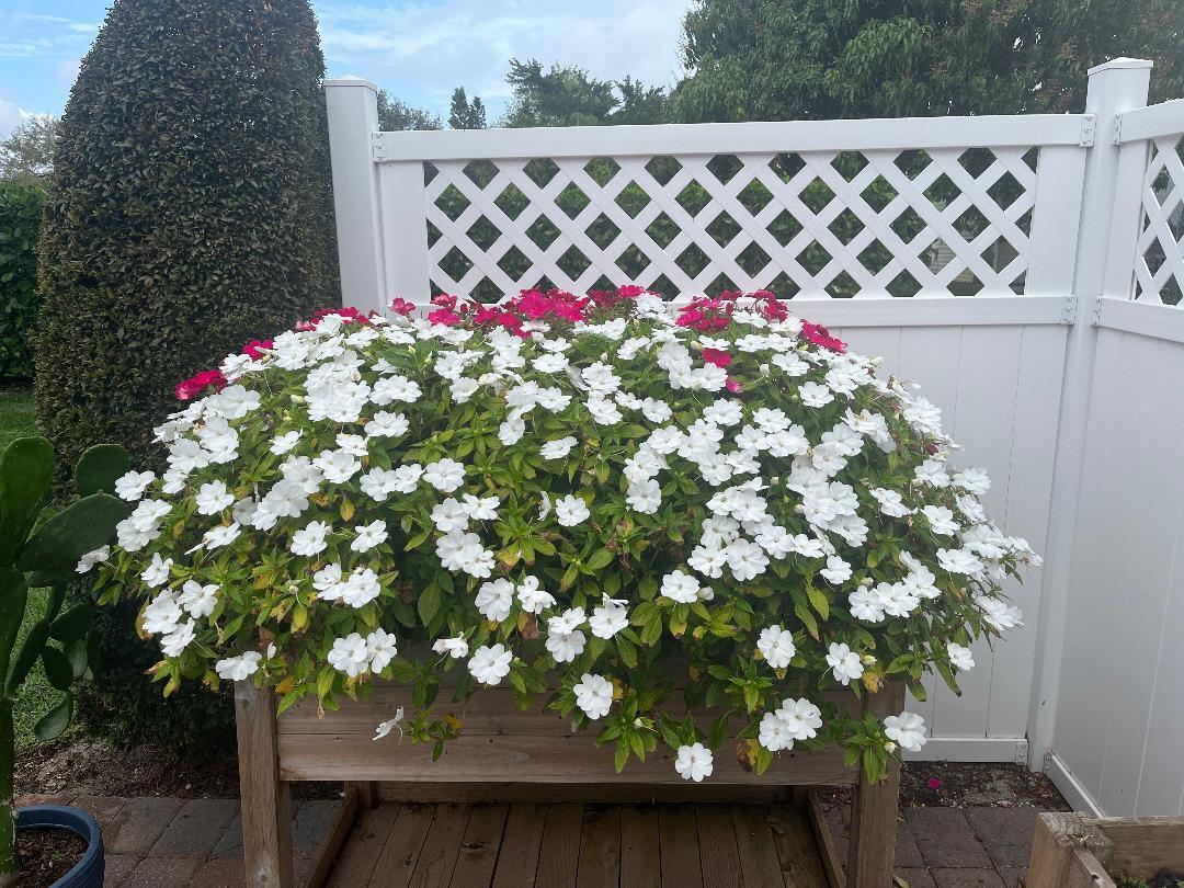 CAMBRIDGE AT HERITAGE RID - Residential