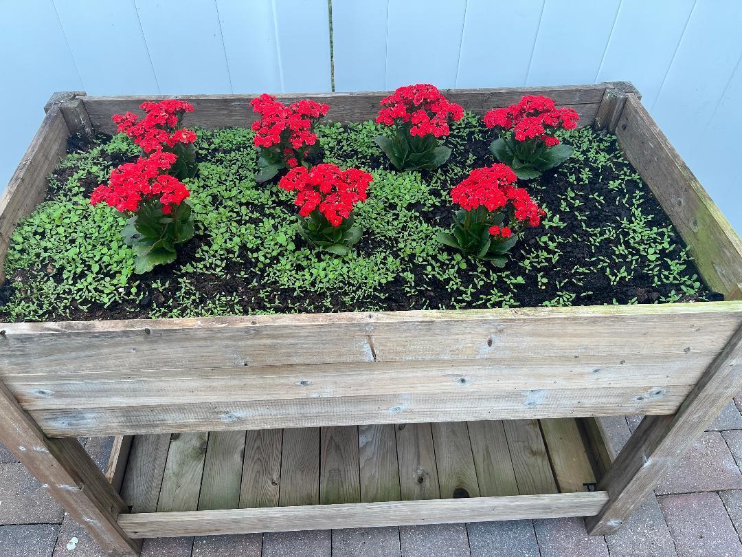 CAMBRIDGE AT HERITAGE RID - Residential