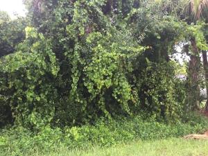 GROVENOR ESTATES SUB UNIT 1 - Land