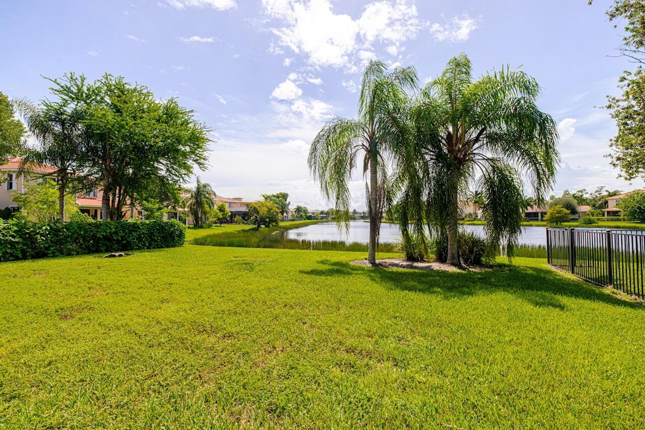 10310 Carolina Willow Drive