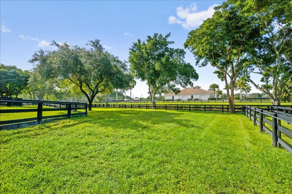 PALM BEACH POINT - Residential