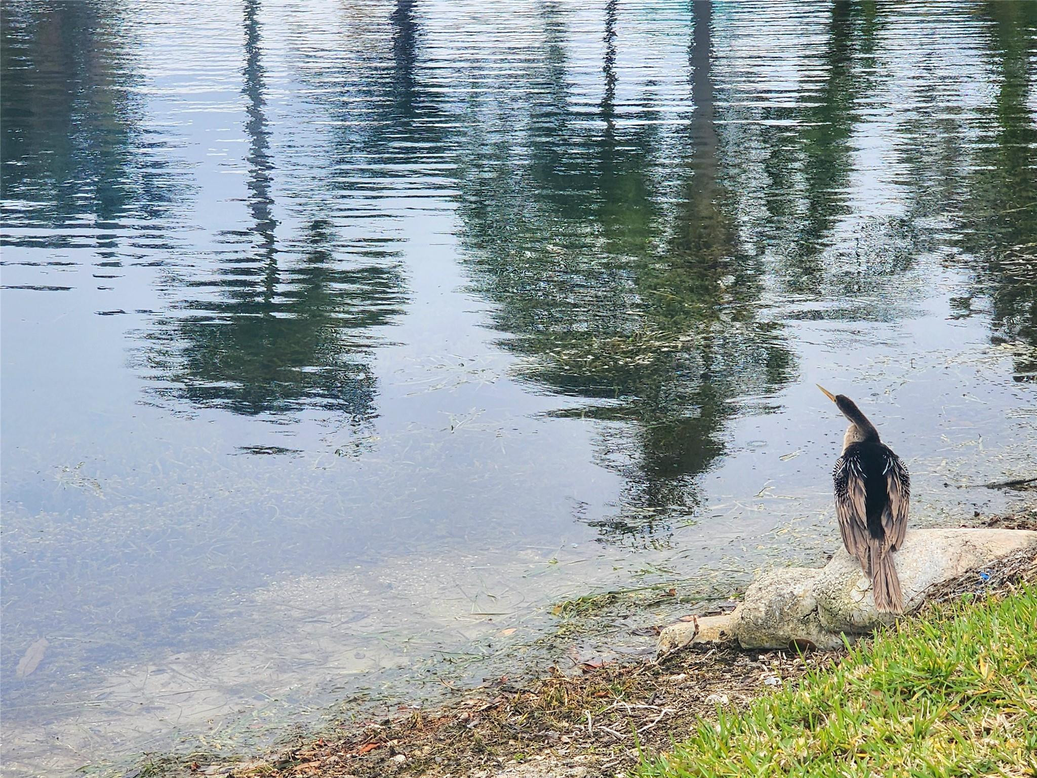 SHERIDAN LAKES - Residential
