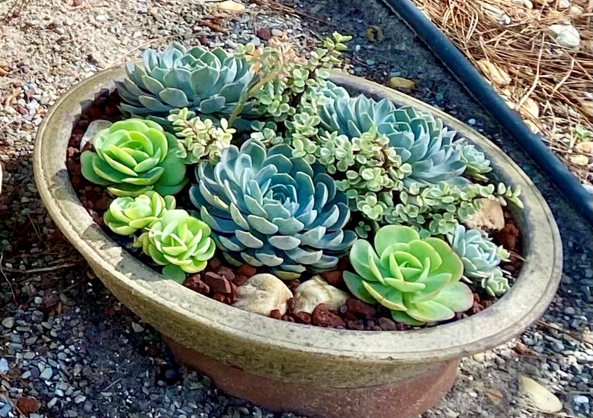 OSPREY PRESERVE - Residential Lease