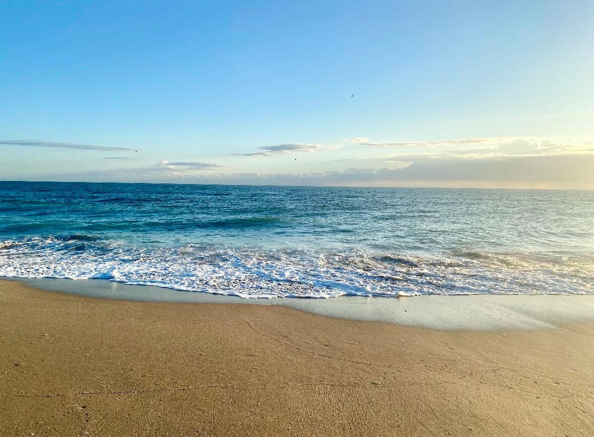 OSPREY PRESERVE - Residential Lease