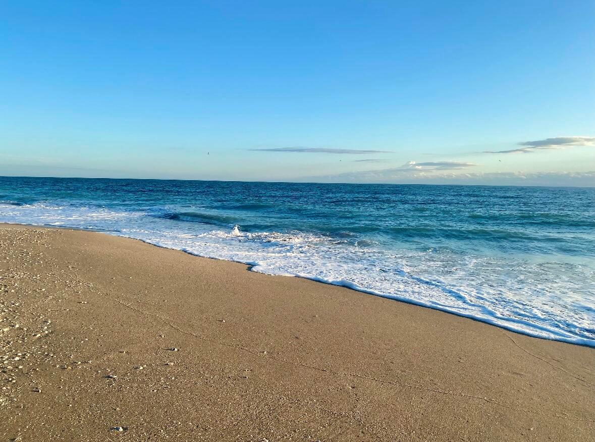 OSPREY PRESERVE - Residential Lease