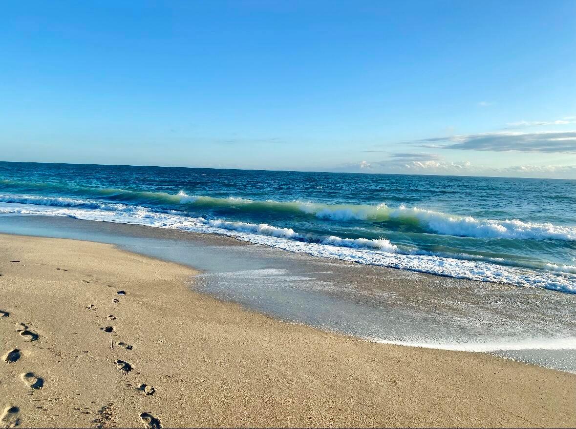 OSPREY PRESERVE - Residential Lease