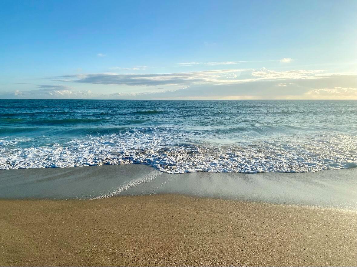 OSPREY PRESERVE - Residential Lease