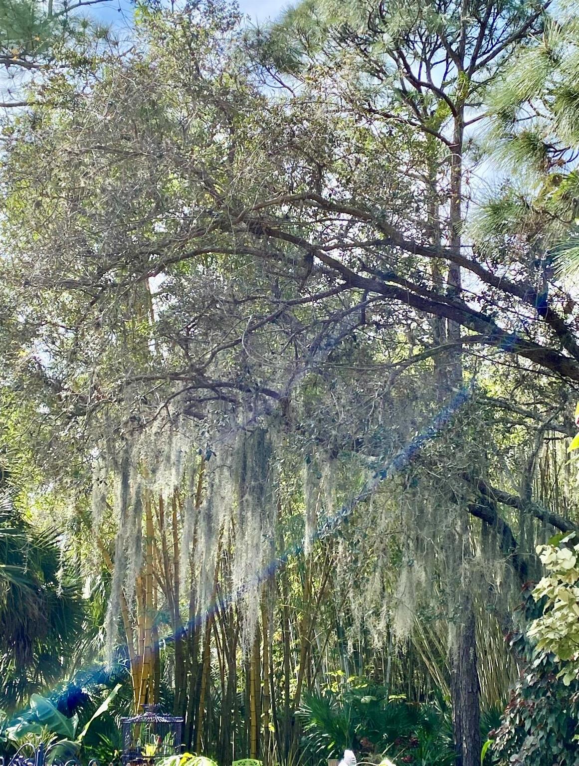 OSPREY PRESERVE - Residential Lease