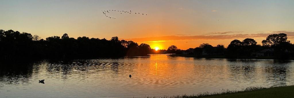 Estates at Sawgrass Lakes - Residential