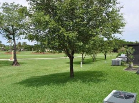 Tiny photo for 3656 NW 83RD Lane #3656, Sunrise, FL 33351 (MLS # B26069773)