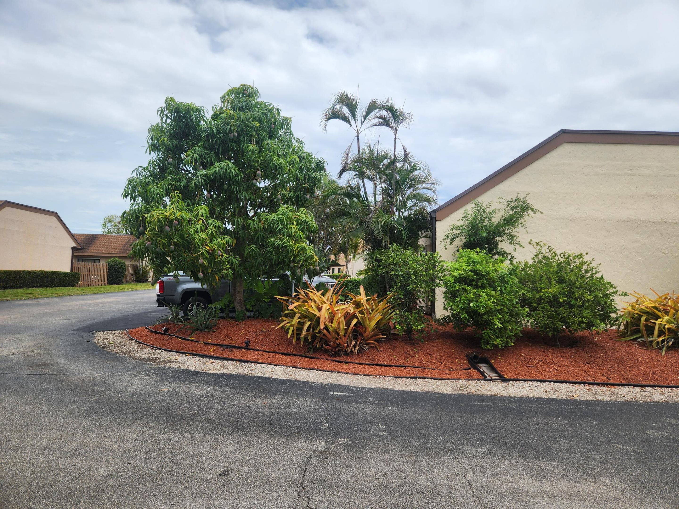 CINNAMON 1 - Residential