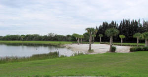REDUCED $100,000, to sell this Beautiful 40 acres, pristine, cleared, gated, custom built barn with 2 master bedrooms, 2 bath residence, upgrades, granite, all wood decor! Pond, clay pigeon solar powered shooting range, shooting tower, 2 fire pits, flow well, 2 ponds. ag, exempt ,low taxes. includes tractors and equipment.