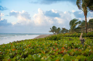 Jupiter Inlet Colony - Residential