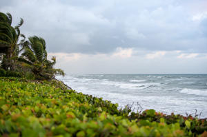 Jupiter Inlet Colony - Residential