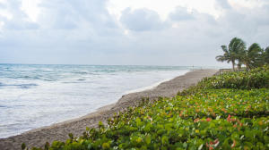 Jupiter Inlet Colony - Residential